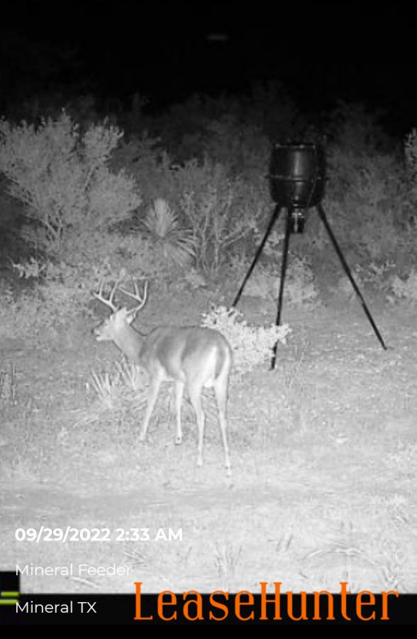 Latest Hunting Leases LeaseHunter